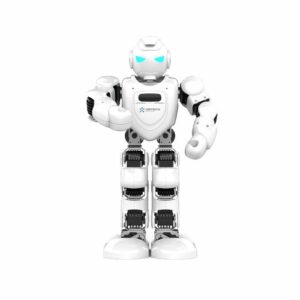 UBTECH Alpha Humanoid Robot