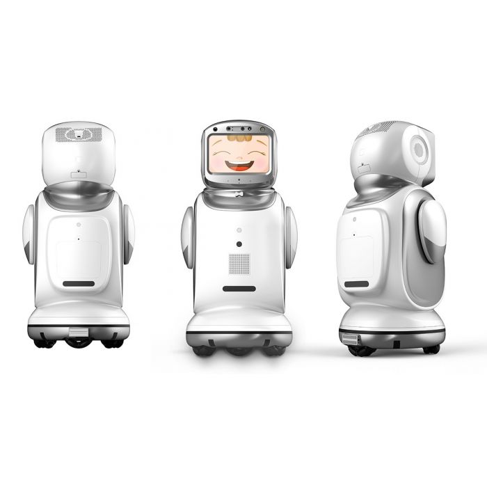 SANBOT Nano Home Service Robot - Eden Robot Innovation